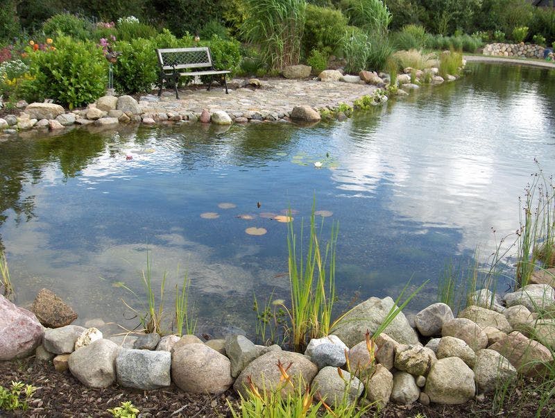 Swimming pond in the backyard of a single-family house