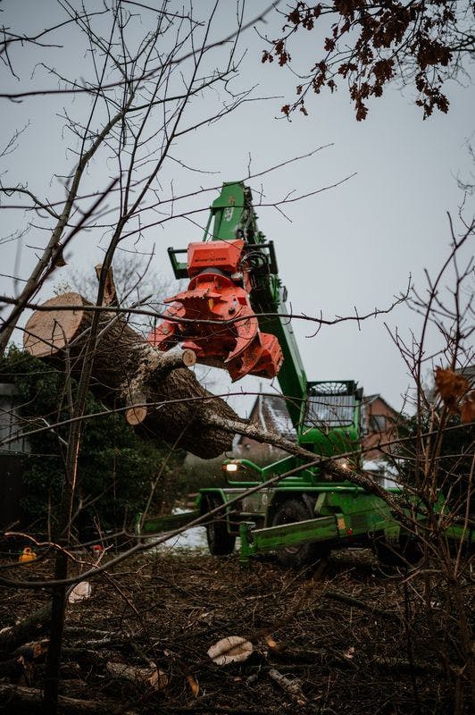 Tree Removal