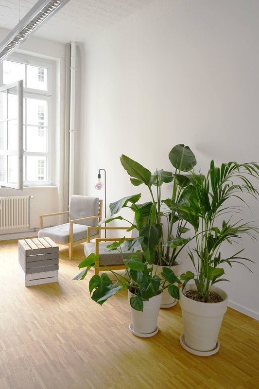 Náš moderní kancelářský prostor v srdci Berlína v Kreuzbergu